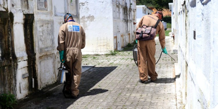 Macaé: Prefeitura intensifica ações de inspeções nos cemitérios