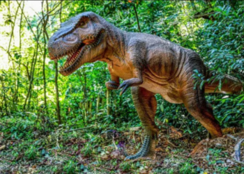 Empresários pretendem construir ‘Ilha dos Dinossauros” em Iguaba Grande