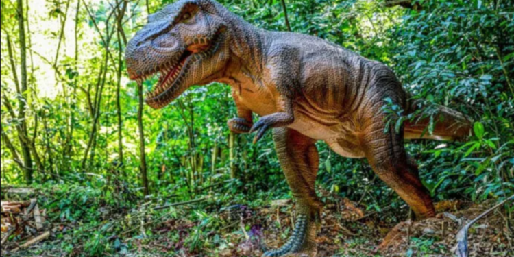 Empresários pretendem construir ‘Ilha dos Dinossauros” em Iguaba Grande