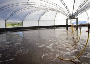 Maricá recebe título de Capital da Aquicultura