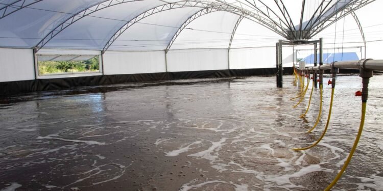 Maricá recebe título de Capital da Aquicultura