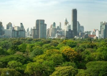 Miniflorestas Urbanas serão criadas em Macaé