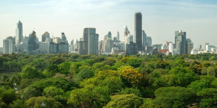 Miniflorestas Urbanas serão criadas em Macaé