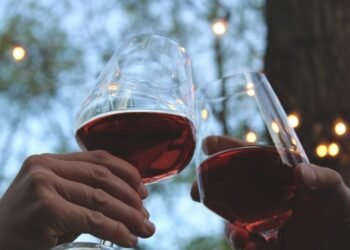 Giro no Mundo dos Vinhos: Com qual vinho você se identifica? por Geni Machado
