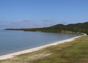 O evento contou com a presença de autoridades municipais e instituições parceiras