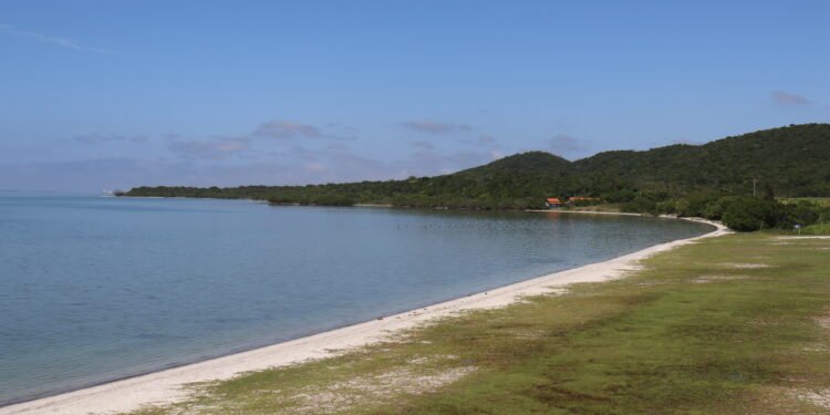 O evento contou com a presença de autoridades municipais e instituições parceiras