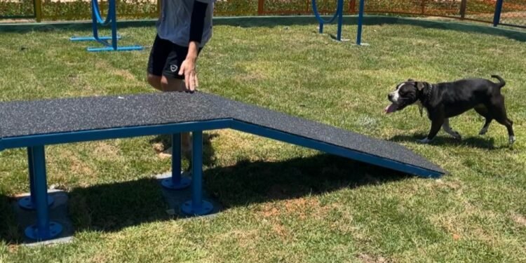 Cães ganham Parque na Praia Campista, em Macaé