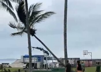 Começaram as demolições e corte de coqueiros no Praião de Barra de São João