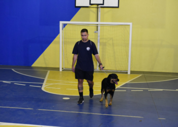 Começa nesta terça-feira (21) curso técnico de adestramento de cães em Maricá