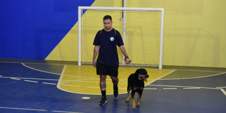 Começa nesta terça-feira (21) curso técnico de adestramento de cães em Maricá