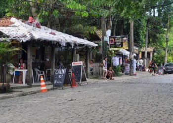 Sana terá ação de combate ao mosquito Aedes aegypti nesta terça (11)