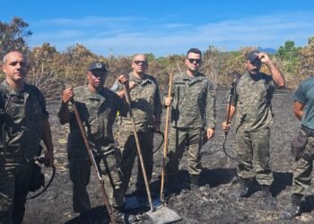 Incêndio na trilha de Itapebussus é apagado por Guarda Ambiental de Rio das Ostras