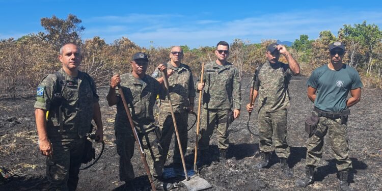 Incêndio na trilha de Itapebussus é apagado por Guarda Ambiental de Rio das Ostras
