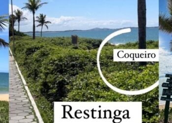 Petição já tem 5.400 assinaturas para manutenção dos coqueiros no Praião de Barra de São João