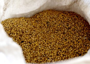 Macaé realiza exportação histórica de soja para Rússia