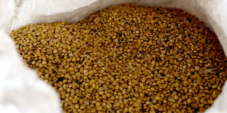 Macaé realiza exportação histórica de soja para Rússia