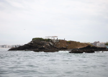 Jardins de Corais começam a ser mapeado em Cabo Frio