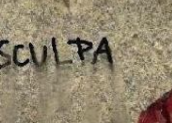 Pedir desculpas não é feio