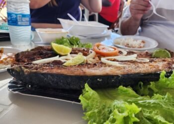 Festival do Pescado 2025 fortalece turismo e cultura em Iguaba Grande