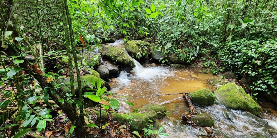 Parque Natural Municipal do Atalaia: O Guardião das Águas e das Memórias de Macaé