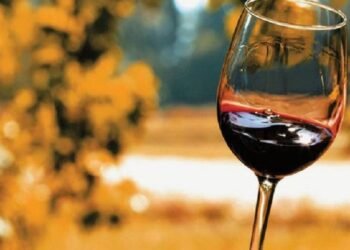 Chegou o outono, a temperatura começa a cair e o consumo de vinho começa a subir