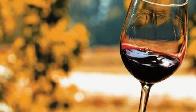 Chegou o outono, a temperatura começa a cair e o consumo de vinho começa a subir
