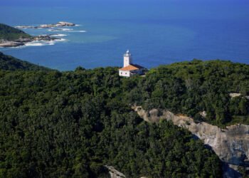 Macaé celebra Dia da Mata Atlântica com mais verde na cidade