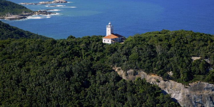 Macaé celebra Dia da Mata Atlântica com mais verde na cidade