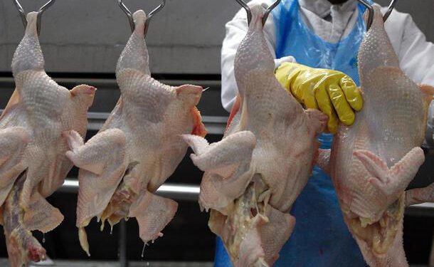 China suspende a importação de carne de frango brasileira.