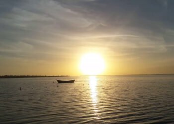 São Pedro da Aldeia auxilia pescadores com o Seguro Defeso do Camarão