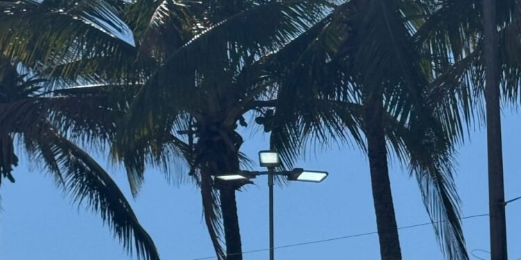 Moradores de Barra de São João reclamam de postes acesos durante o dia