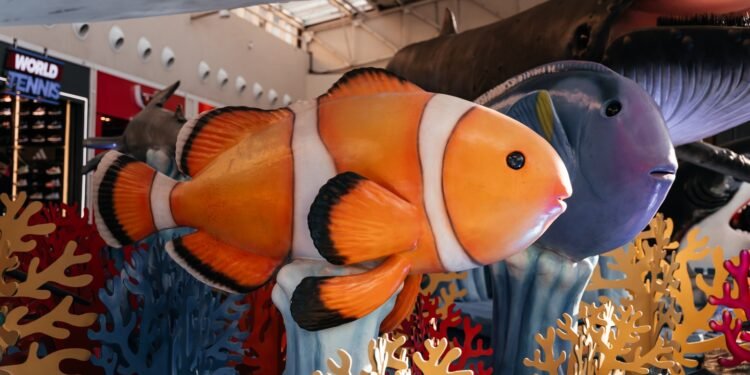 Shopping Plaza Macaé apresenta a exposição “O Fantástico Mundo Marinho”