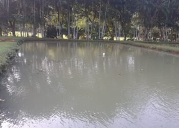 Casimiro de Abreu fecha temporariamente tanques de pesca para manutenção