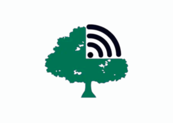 Aplicativo Radar Ambiental recebe denúncias de crimes ambientais