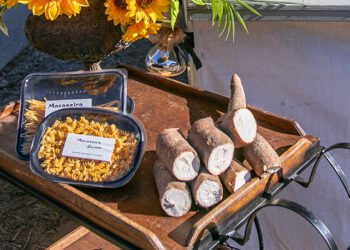 Festival do Aipim promete agitar serra macaense com comidas típicas e shows