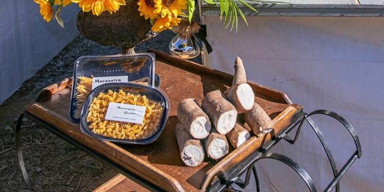 Festival do Aipim promete agitar serra macaense com comidas típicas e shows