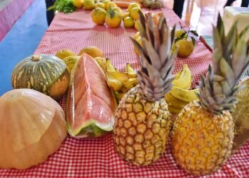 Feira da Agricultura Familiar acontece neste sábado (14), em Maricá