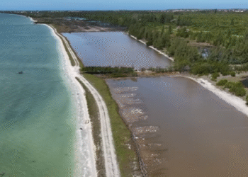 Arraial do Cabo inaugura trecho da Trilha Translagunar e aposta no ecoturismo