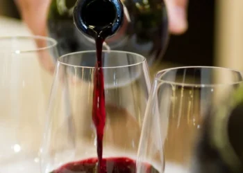 Começo do começo no mundo dos vinhos…por Rafael Fernandes