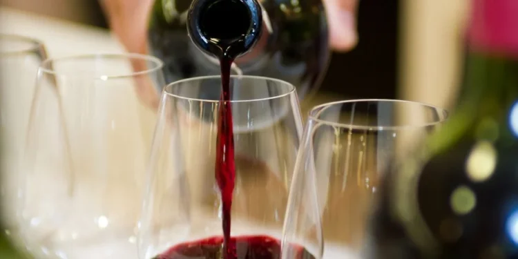 Começo do começo no mundo dos vinhos…por Rafael Fernandes