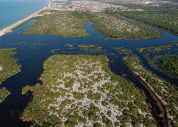 Macaé recebe capacitação gratuita sobre riscos e legislação ambiental; curso aberto para região