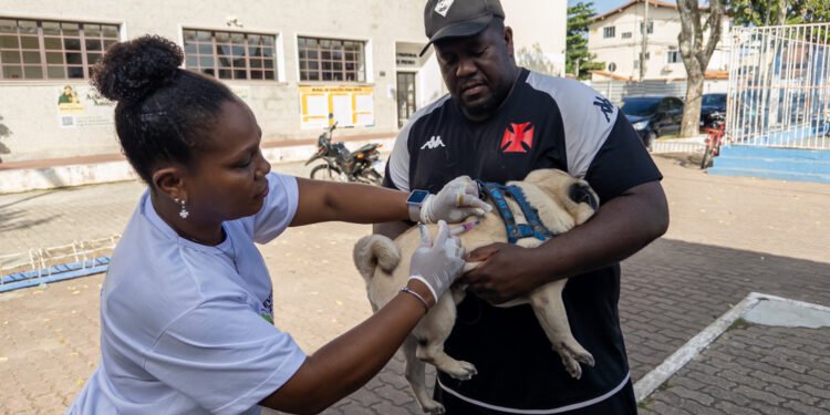 Confira os locais de vacinação antirrábica em Macaé