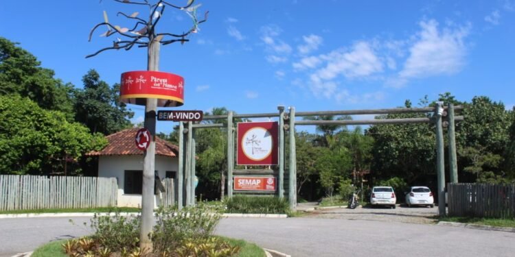 Quer dar aulas no Parque dos Pássaros? Inscrições abertas para oficinas em Rio das Ostras