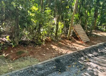 Ladrão ataca mais uma vez e furta grama na Estrada do Sana
