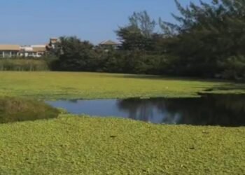 Chegou a vez da Lagoa do Meio; confira os planos de revitalização em Cabo Frio