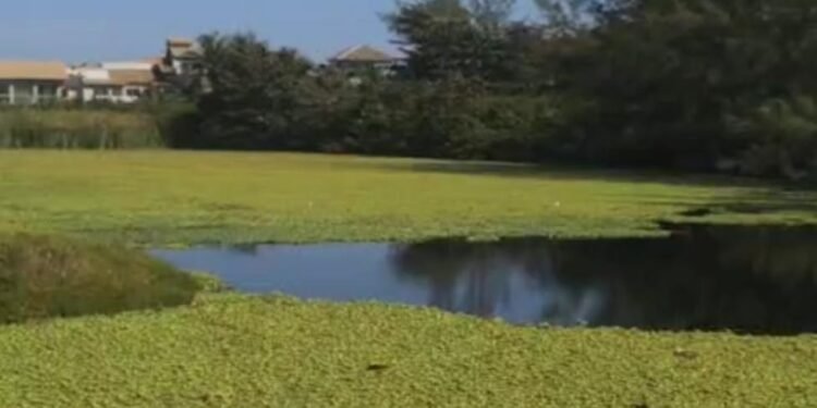 Chegou a vez da Lagoa do Meio; confira os planos de revitalização em Cabo Frio
