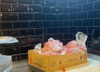 Denúncia revela supermercado vendendo alimentos vencidos em Cabo Frio; Cerca de 10kg foram descartados