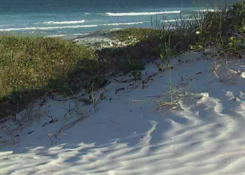 Alerta em Cabo Frio: Frente fria deixa município em estágio de observação