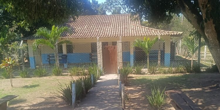 PSA de Rio das Ostras retoma cadastro para castração; telefone fixo volta a funcionar