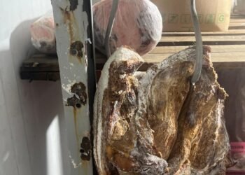 Supermercado no Jardim Esperança é interditado pela Vigilância Sanitária em Cabo Frio